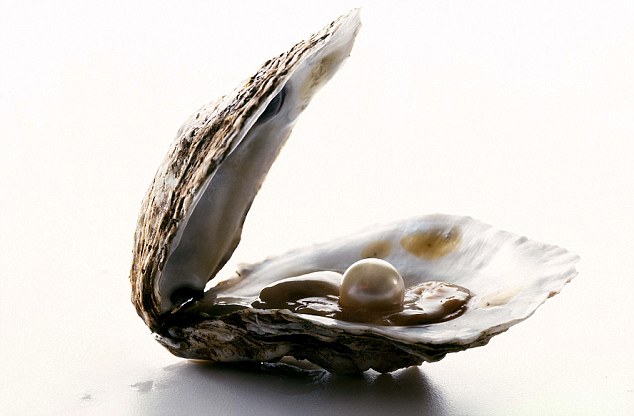 Open Oyster PNG - 73094