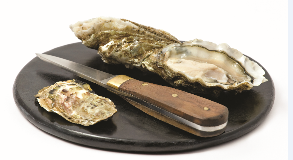 Open Oyster PNG - 73102