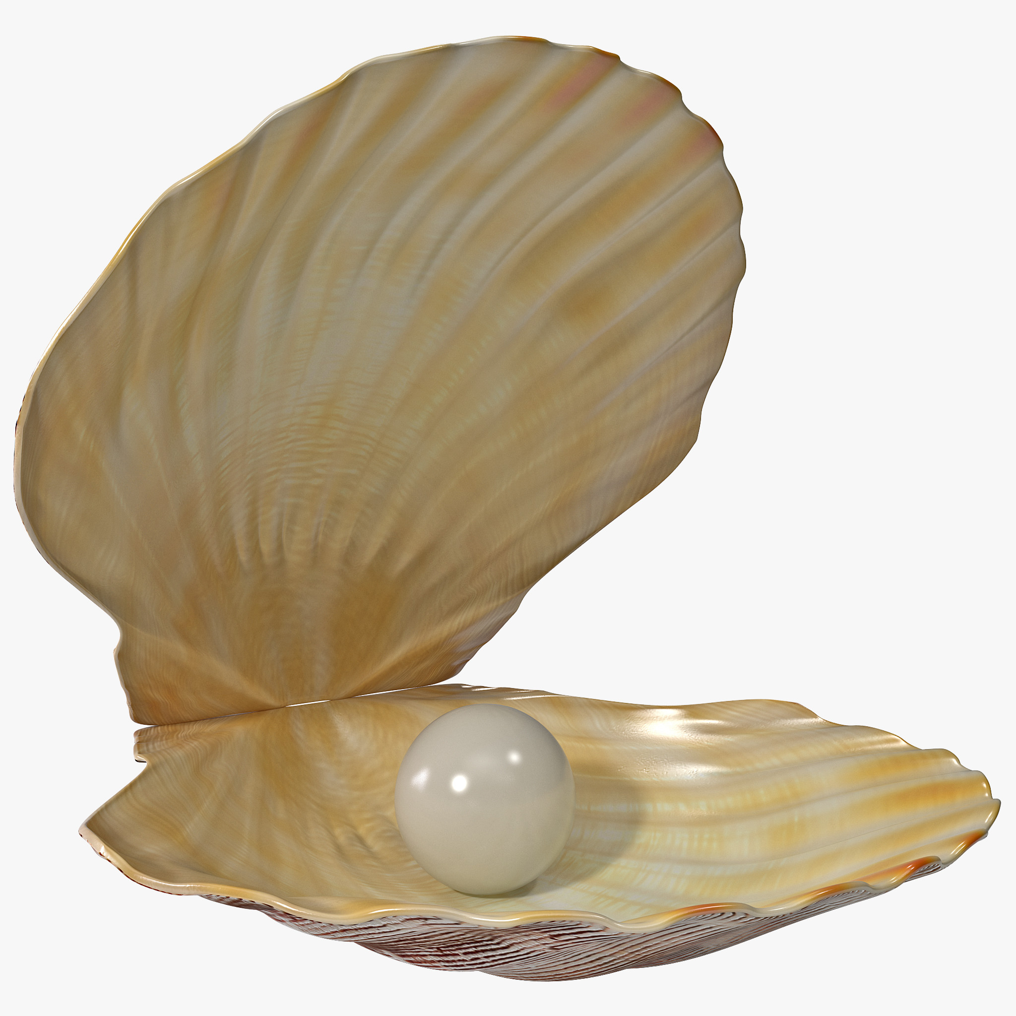Open Oyster PNG - 73104