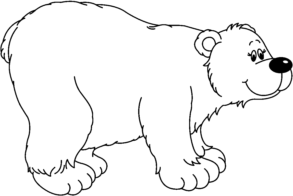 Bear black and white bear cli