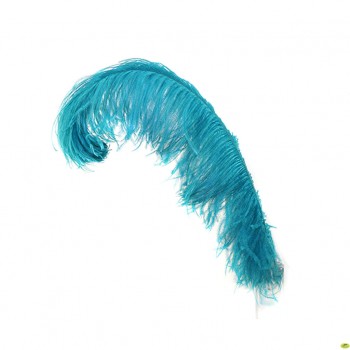 Ostrich Feather PNG - 72992
