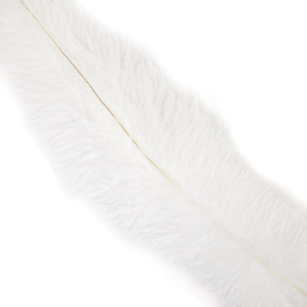 Ostrich Feather PNG - 72990
