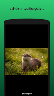 Otter PNG HD - 138695