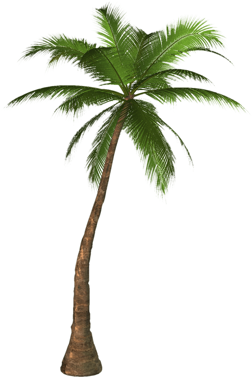 Palm Tree Tube Stock II PNG b