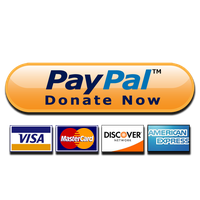 Paypal Donate Button PNG - 12686