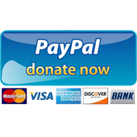 Paypal Donate Button PNG - 12698
