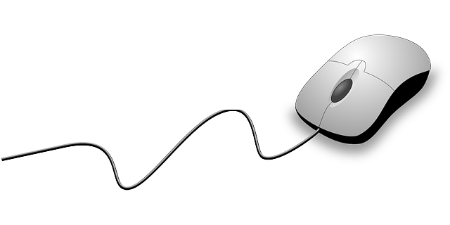 Computer Mouse Png Image PNG 