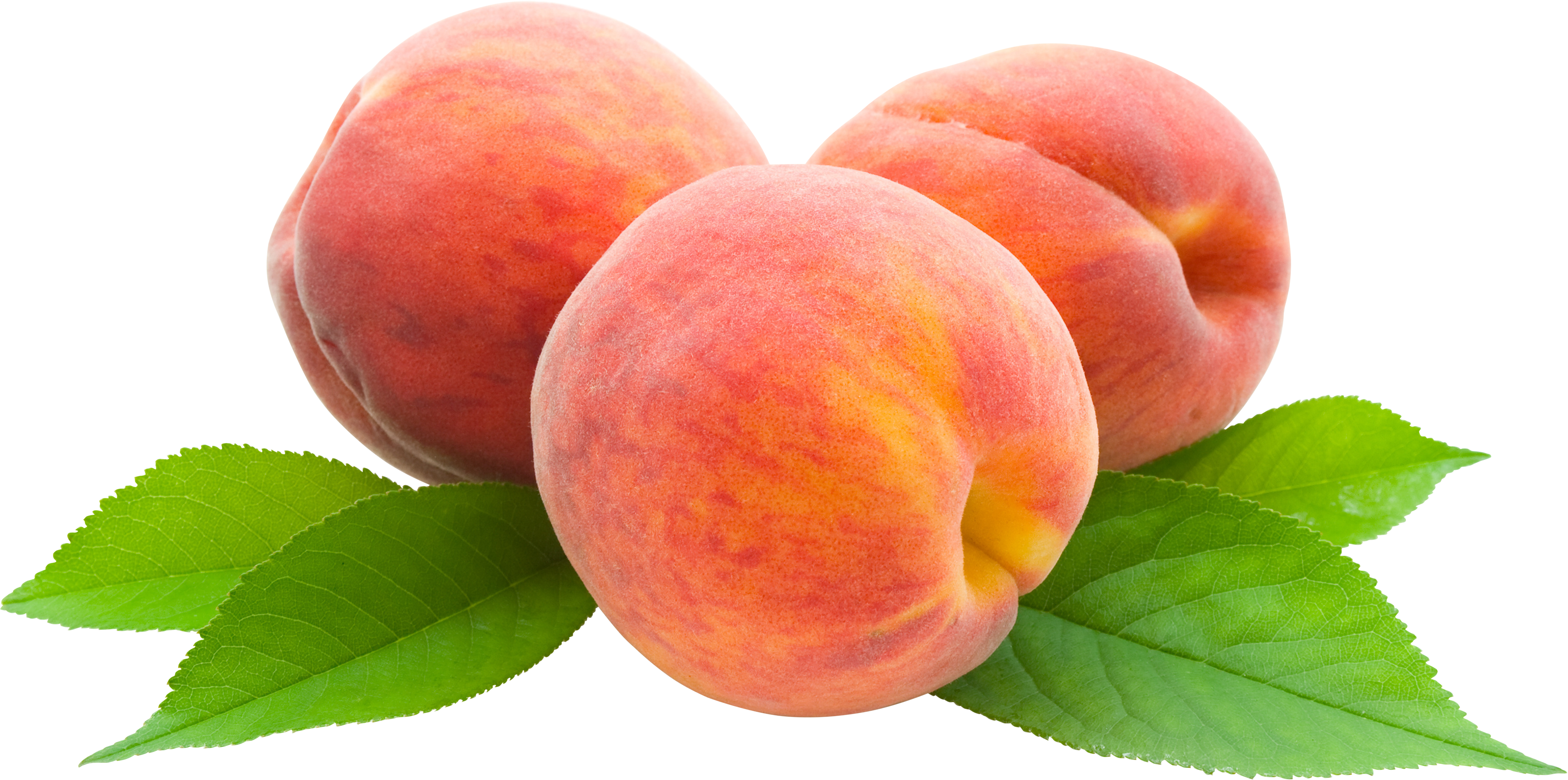 Peach HD PNG - 91148