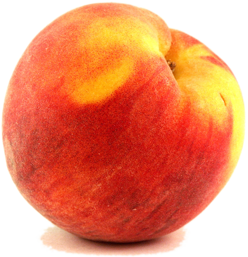 Peach PNG - 18629