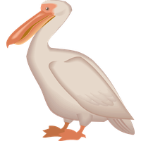 Pelican PNG - 14519