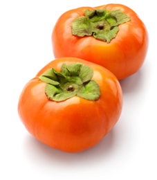 Persimmon HD PNG - 89704