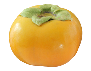 Persimmon HD PNG - 89701