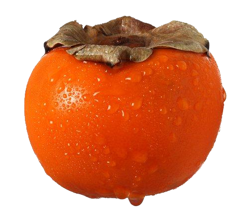 Persimmon HD PNG - 89702