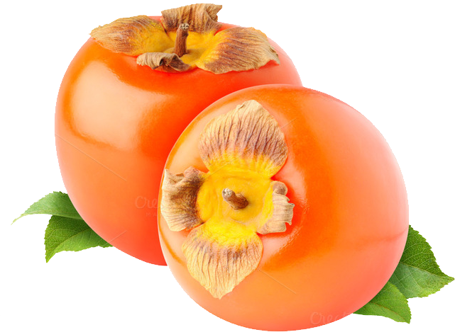 Persimmon Png Clipart PNG Ima