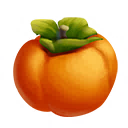 Persimmon PNG - 17813