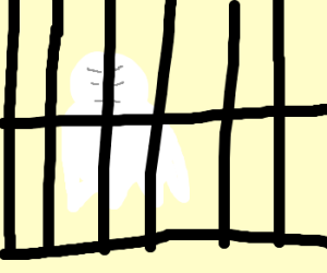 Person Behind Bars PNG - 154950