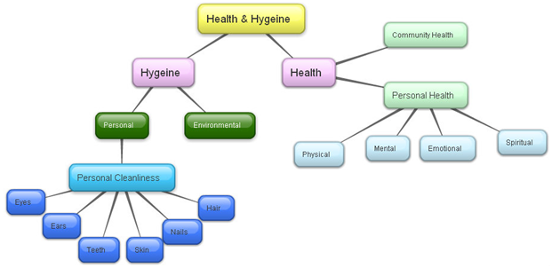Concept map personal hygiene.