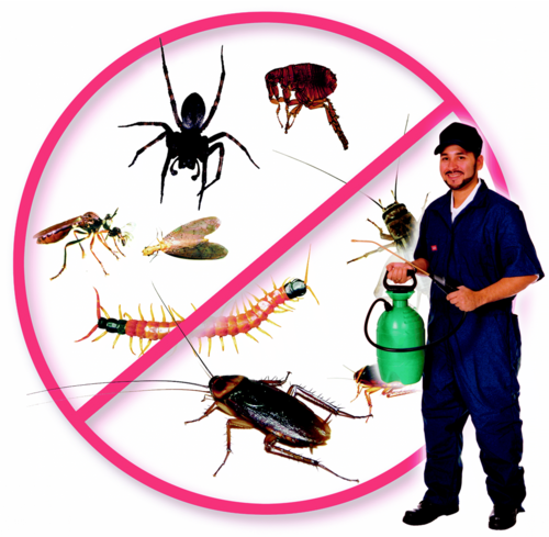 Pest Control PNG HD - 131612