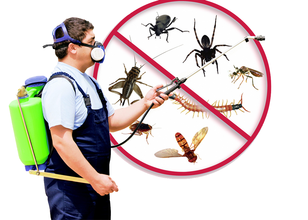 Pest Control PNG HD - 131611