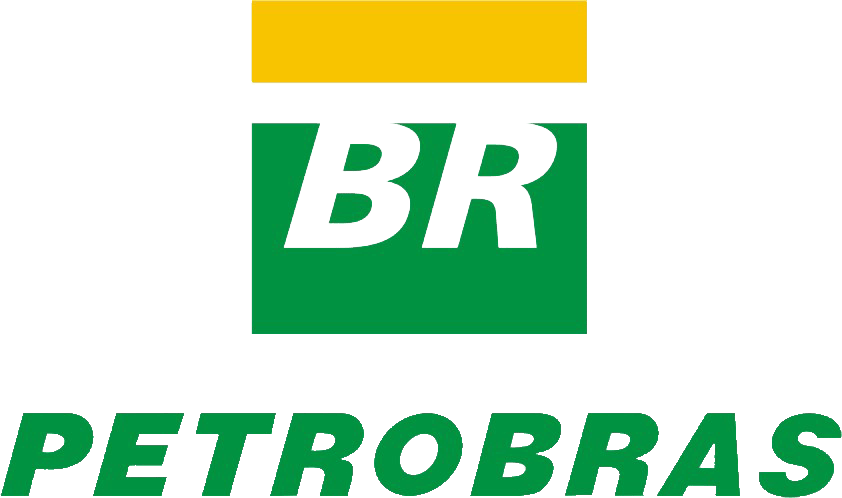BR Petrobras Logo Vector