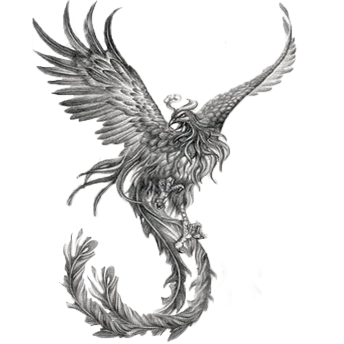 Phoenix Tattoos PNG - 10800