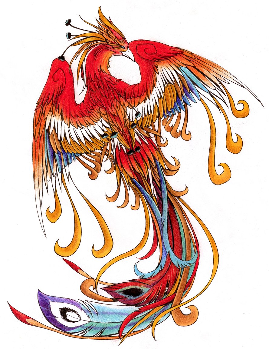 Phoenix Tattoos PNG - 10814