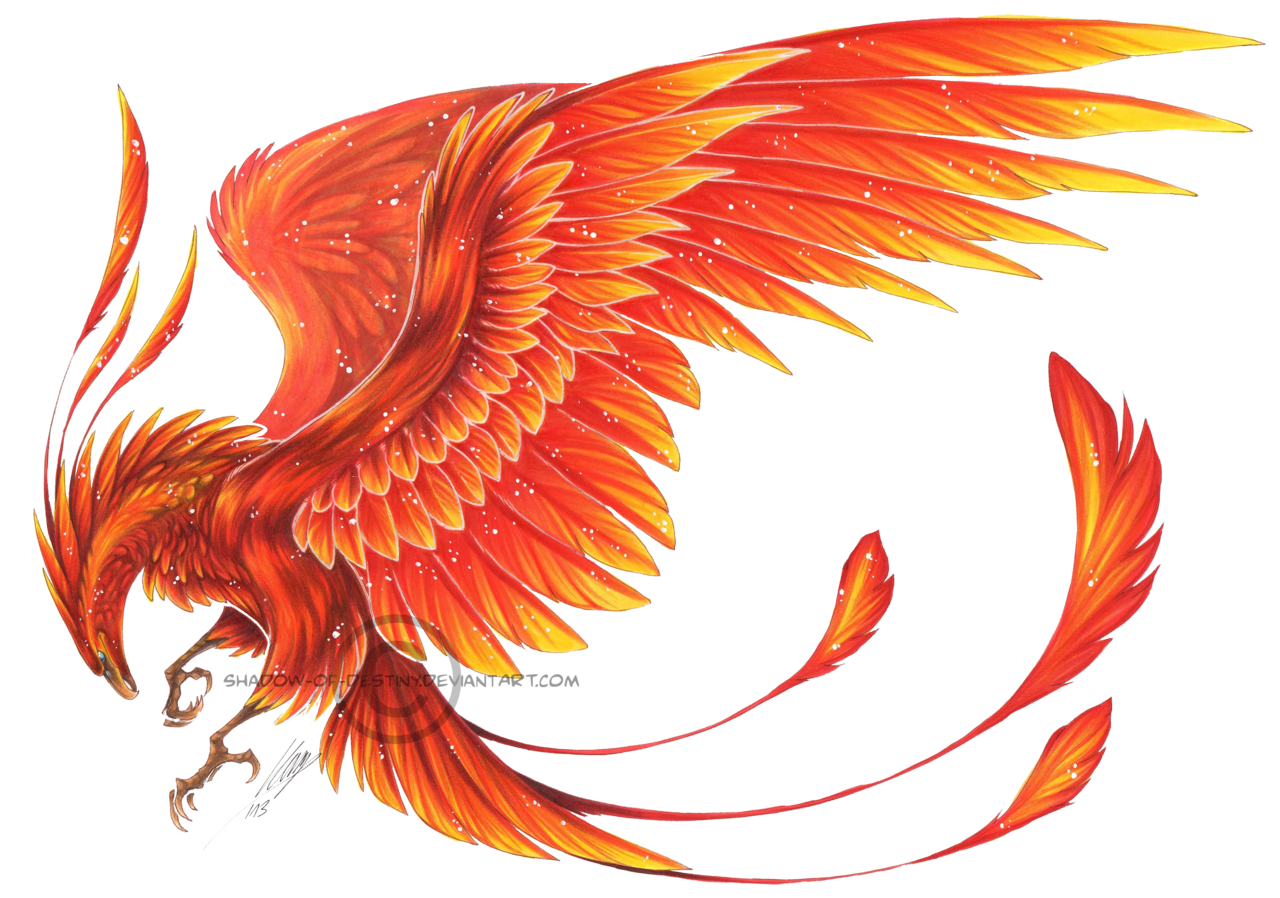 Similar Phoenix PNG Image