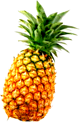 Pineapple HD PNG - 118074