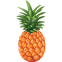 Pineapple PNG - 16588