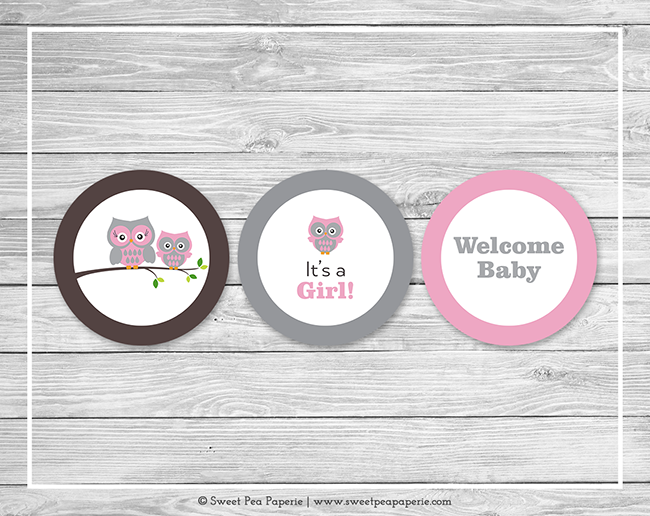 Pink And Gray Owl PNG - 167787