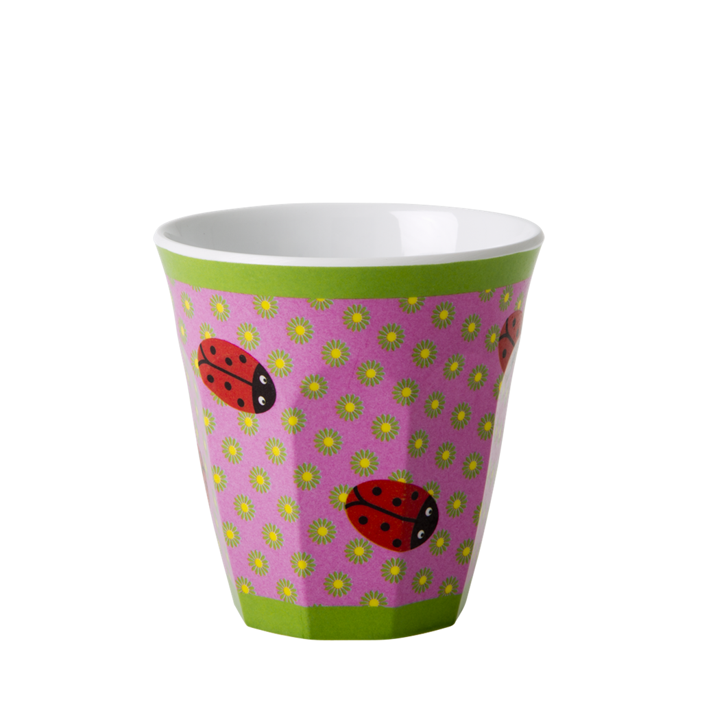 Pink And Green Ladybug PNG - 169887