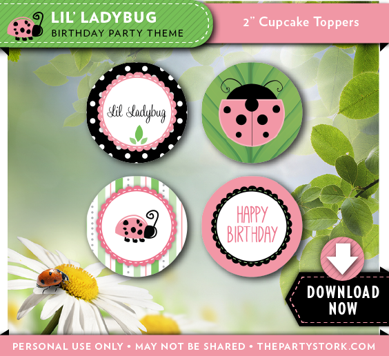 Pink And Green Ladybug PNG - 169885