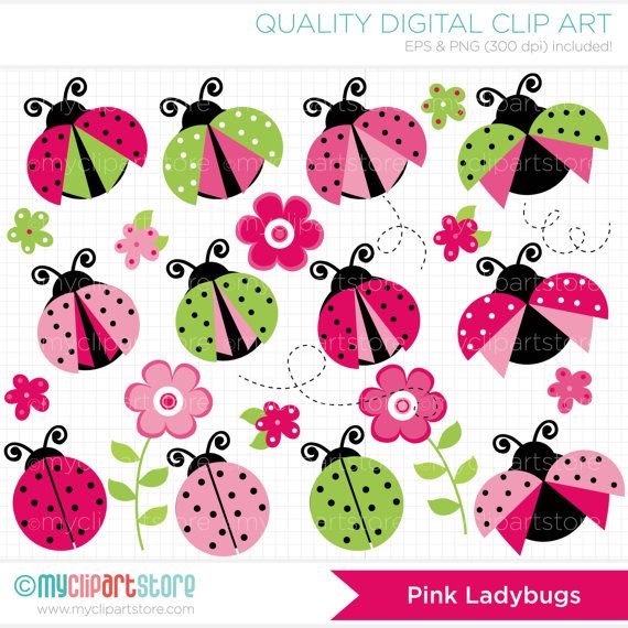 Pink And Green Ladybug PNG - 169868