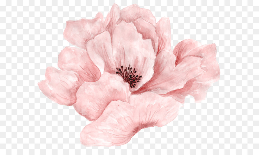 Pink Flower PNG - 132025
