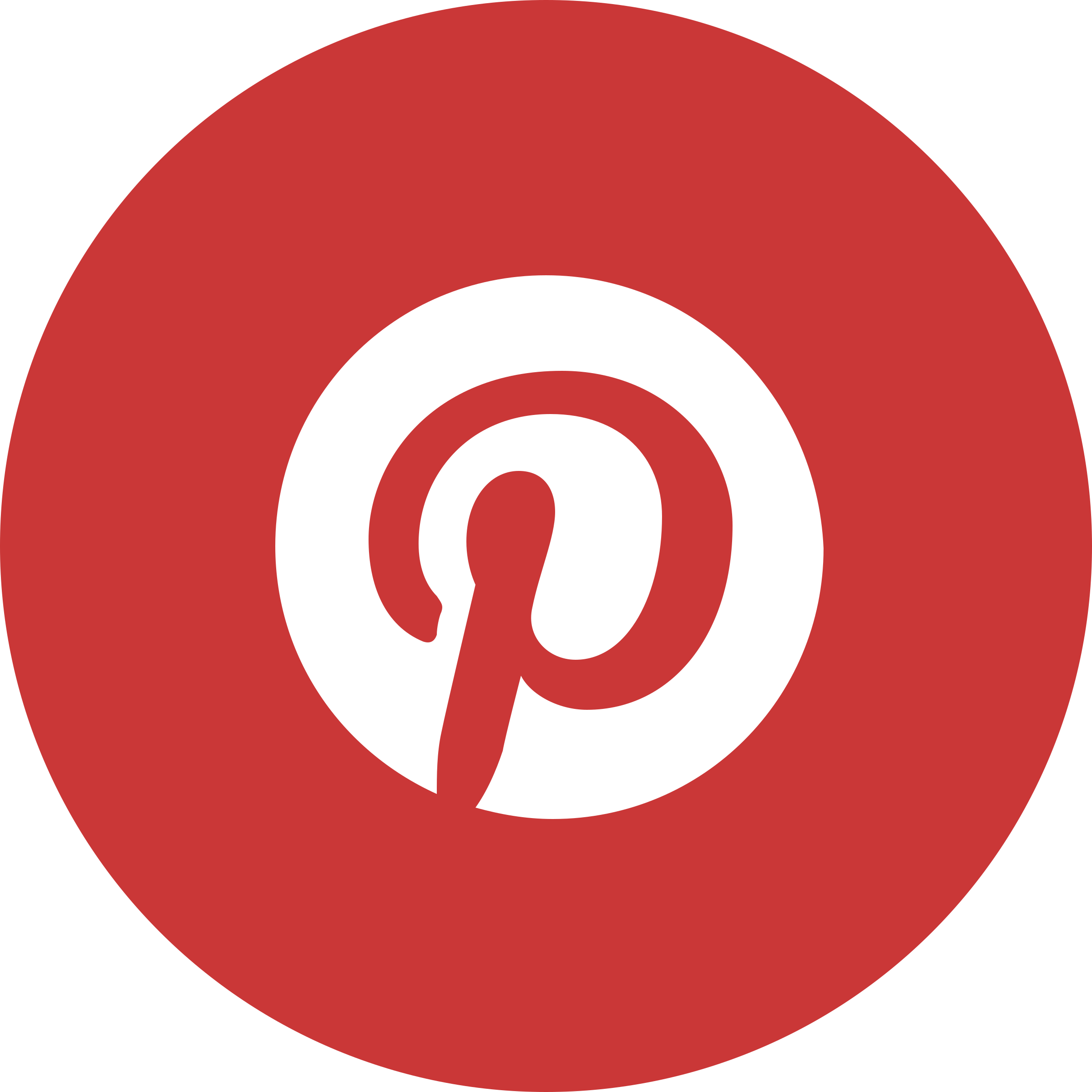 Pinterest Logo PNG - 179173