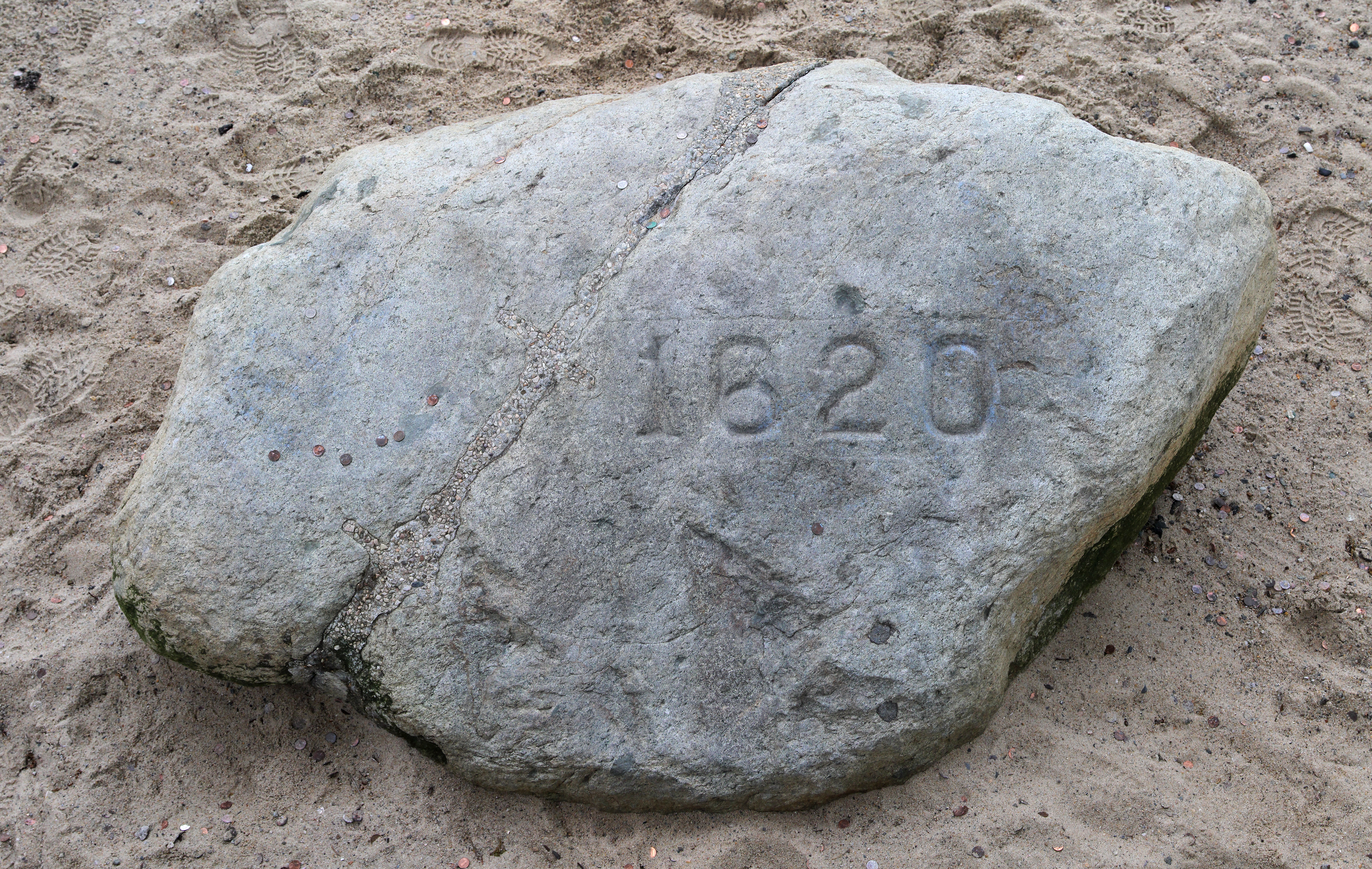 Plymouth Rock PNG - 76810