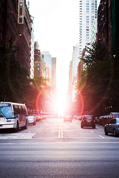 city, street, and sun image