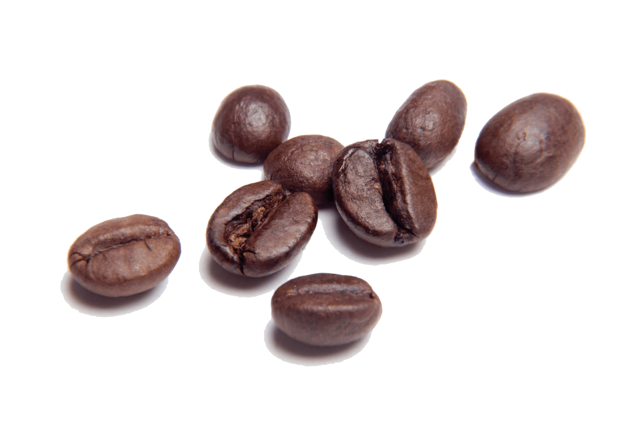 PNG Coffee Beans - 155946