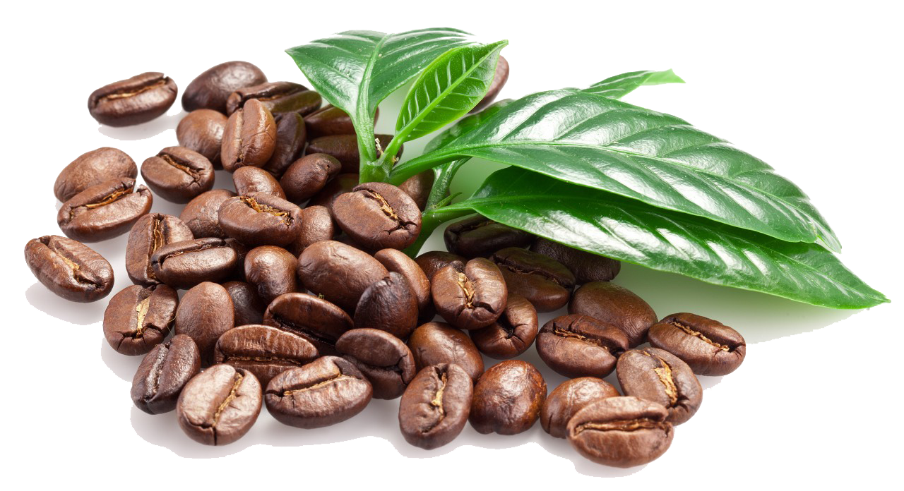 PNG Coffee Beans - 155952