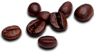 PNG Coffee Beans - 155955