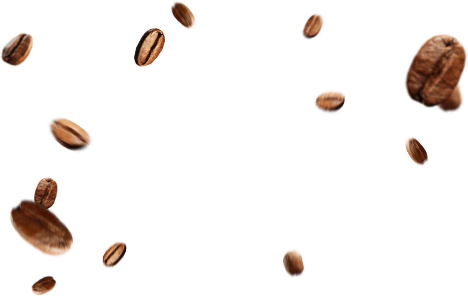 PNG Coffee Beans - 155951