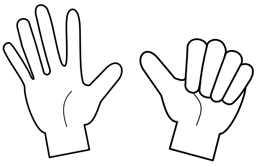 Hand index number, Finger, Co