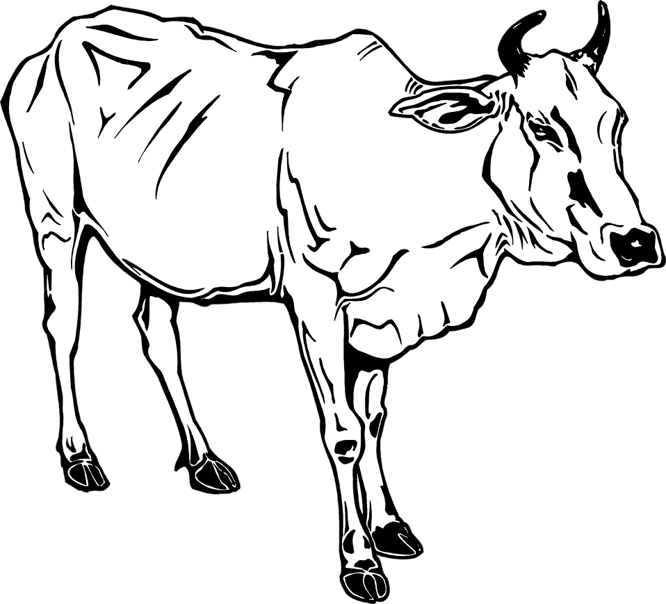 PNG Cow Black And White - 133596.