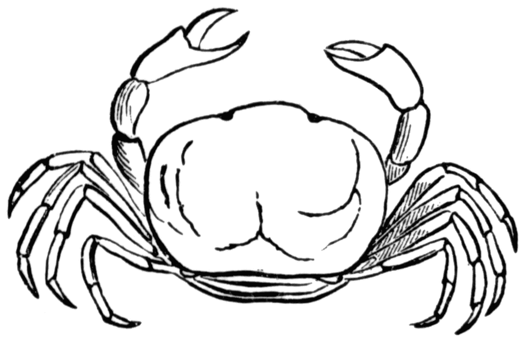 PNG Crab Black And White - 133458