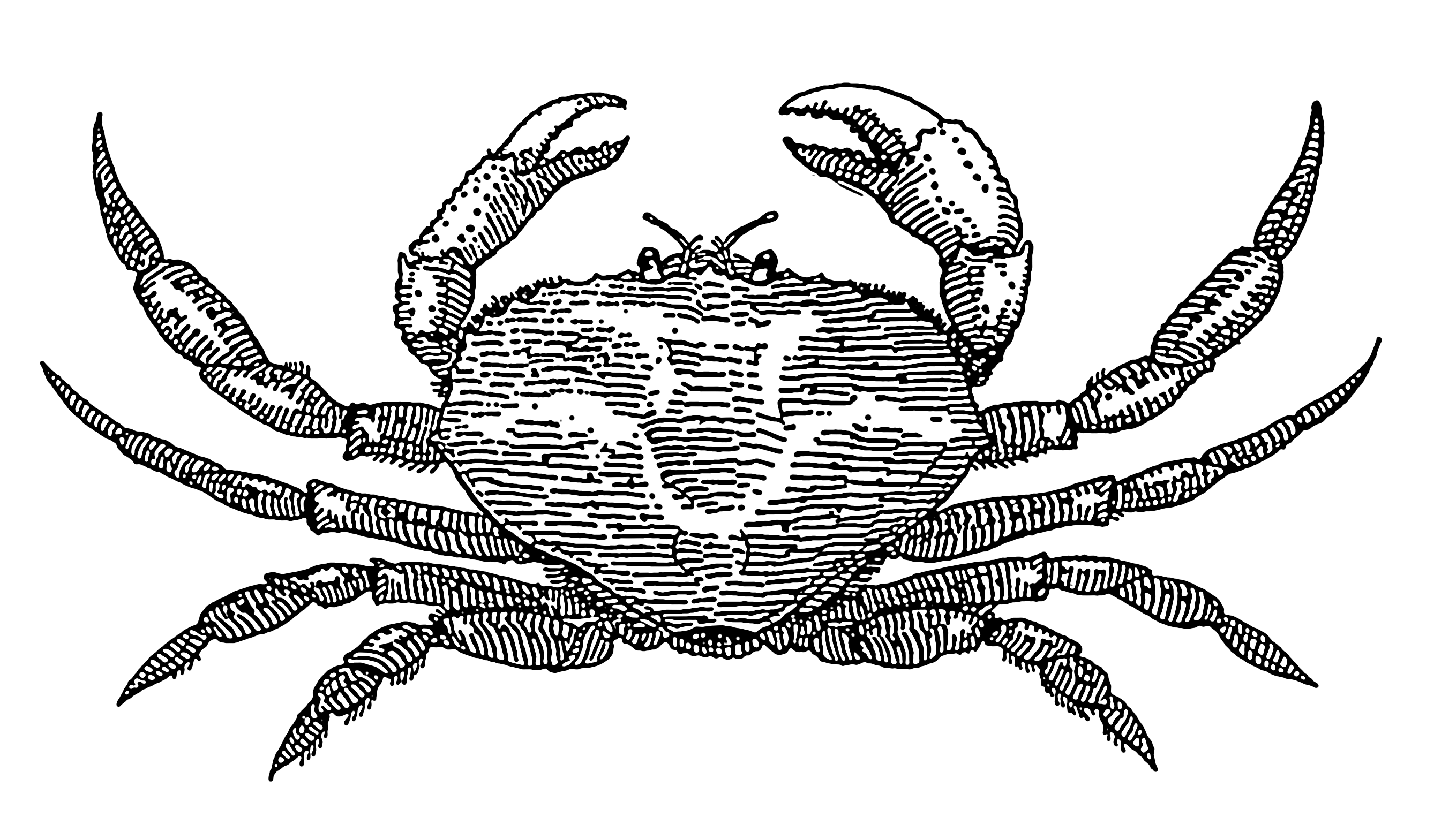 PNG Crab Black And White - 133457
