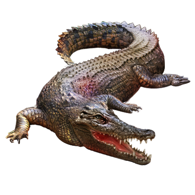 PNG Crocodile - 133473