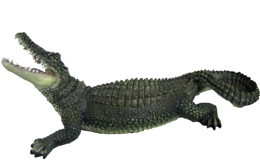 PNG Crocodile-PlusPNG.com-627
