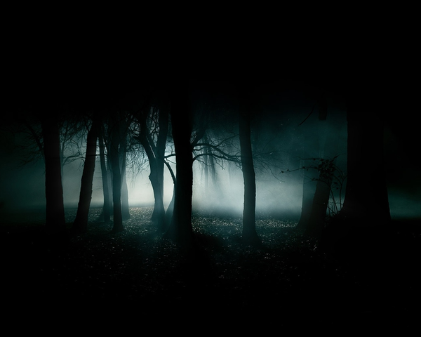 PNG Dark Forest - 148119