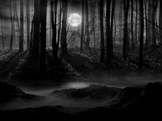Dark Forest by VenskeArts Dar