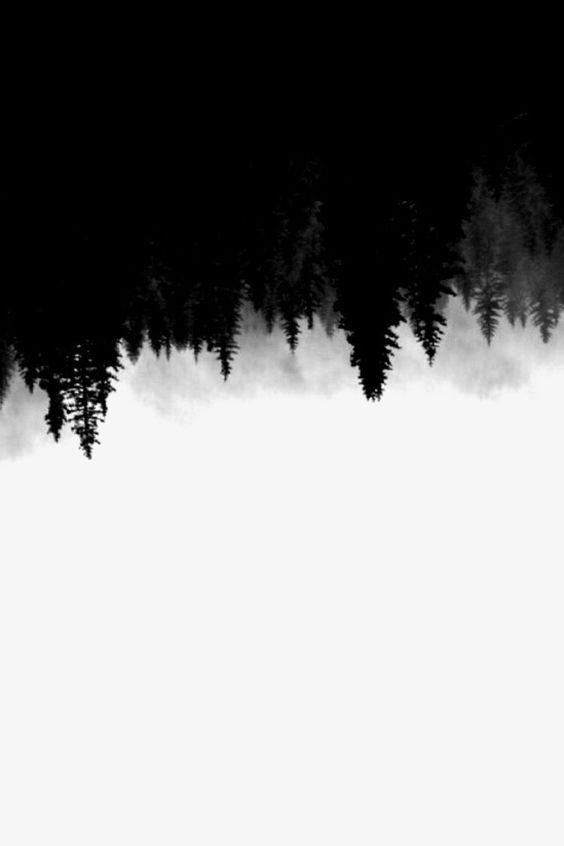 PNG Dark Forest - 148124